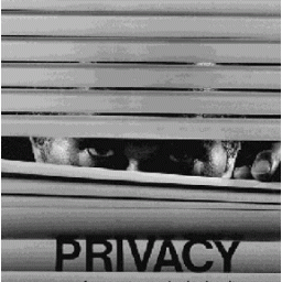 Kako je privatnost na internetu postala oksimoron