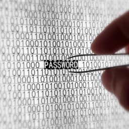 Analiza 550 miliona ukradenih lozinki otkriva kakve lozinke treba izbegavati