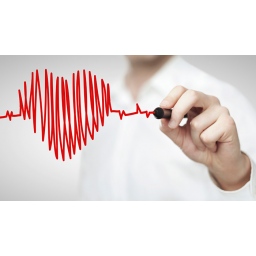 Cardiac Scan: Srce kao lozinka