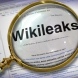 WikiLeaks na udaru hakerskih DDoS napada