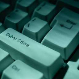 Borba protiv sajber kriminala glavni prioritet Interpola