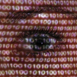 Snouden predao medijima nova tajna dokumenta: NSA može da prati sve što radite na internetu