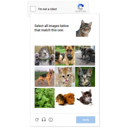 noCAPTCHA reCAPTCHA: Zbogom iritantnim iskrivljenim slikama sa slovima i brojevima [VIDEO]