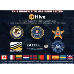 FBI i Europol zaplenili infrastrukturu zloglasne ransomware grupe Hive