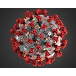 Novi malver nazvan ''Korona virus'' zaključava Windows