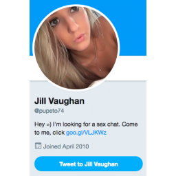 Deaktivirana Twitter spam porno bot mreža