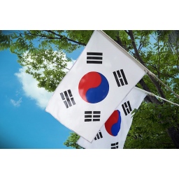 Državne institucije u Južnoj Koreji sa Windowsa 7 prelaze na Linux