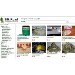 Kako je Google pretraga dovela policiju do Rosa Ulbrihta, vlasnika sajta Silk Road