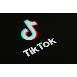 TikTok pokrenuo globalni program za bagove