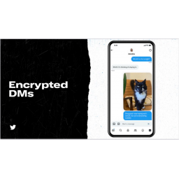 Mask potvrdio da Twitter uvodi šifrovanje direktnih poruka (DM)
