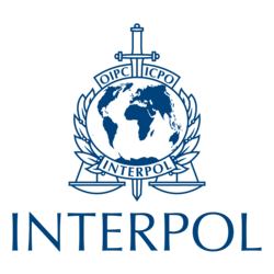 Interpol: Sajber-kriminal je najveća pretnja društvu