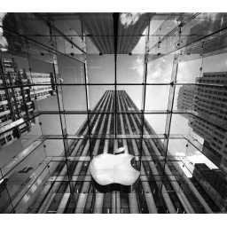 Appleovi inženjeri spremni da daju otkaz ako ih FBI primora da hakuju iPhone teroriste iz San Bernardina