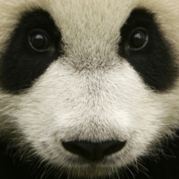 Identifikovana nova grupa kineskih vojnih hakera Putter Panda