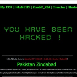 Pakistanski haker oborio Google.rs i druge velike srpske sajtove